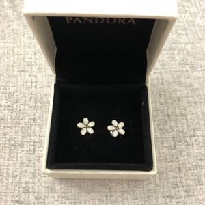 Pandora earrings